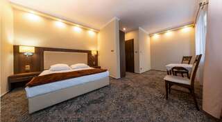 Отель Hotel Promien Скаржиско-Каменна Двухместный номер Делюкс с 1 кроватью-1