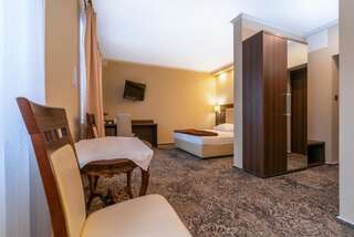 Отель Hotel Promien Скаржиско-Каменна Двухместный номер Делюкс с 1 кроватью-3